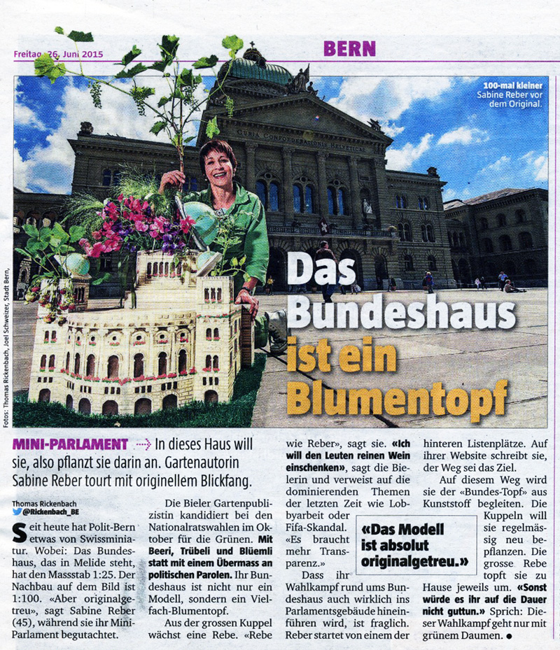 Read more about the article Das kleine Bundeshaus